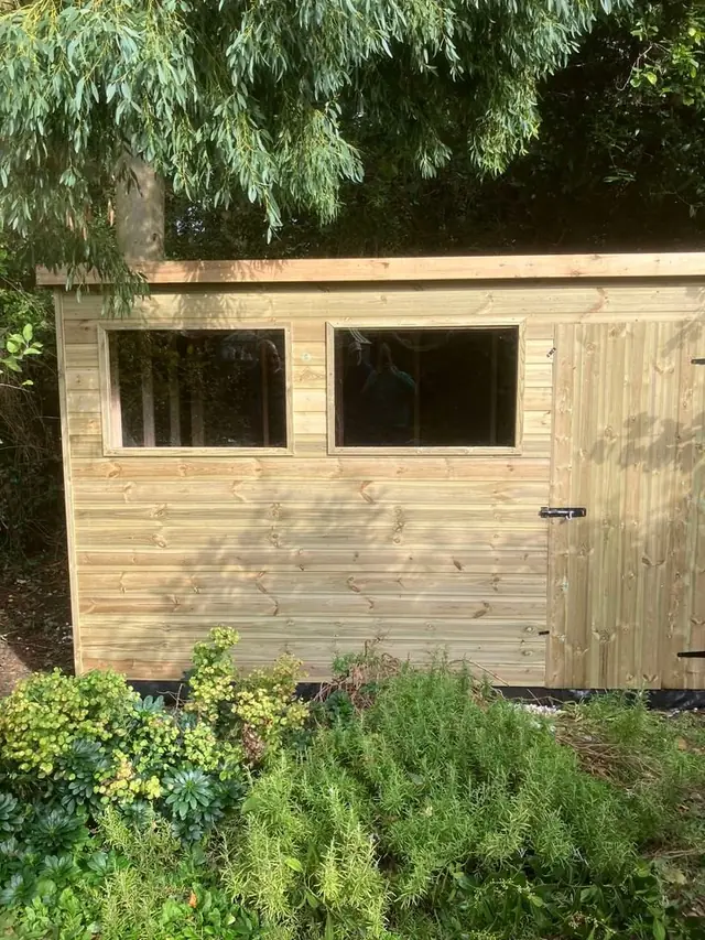 Pent shed with windows in a planted border
